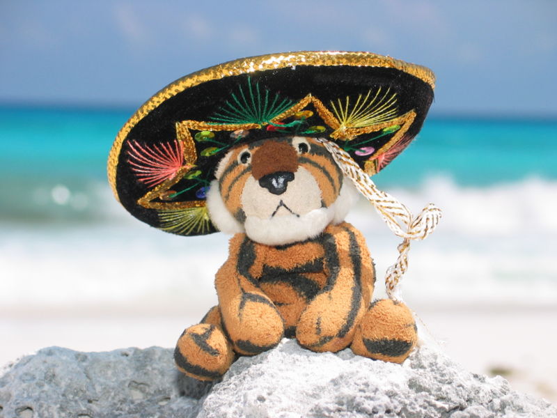 tigersombrero.jpg